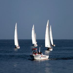 Meet your Posher, Peggy